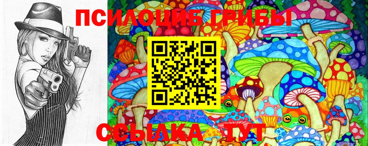 Бердск  Псилоцибиновые грибы MAGIC MUSHROOMS  Вход с VPN 