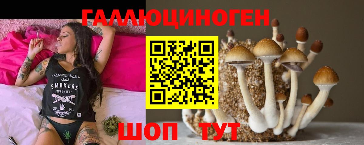 Псилоцибиновые грибы мухоморы Бердск